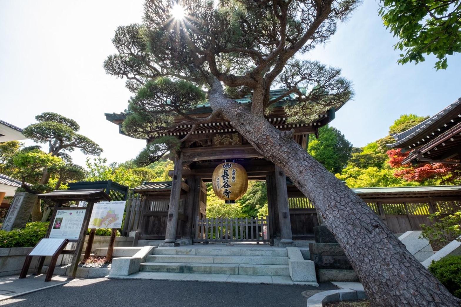 Japanese Modern Inn 鎌倉楽庵ハナレ Kamakura Exterior photo